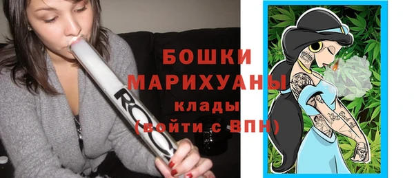 бошки Белокуриха
