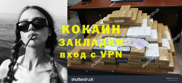 бошки Белокуриха