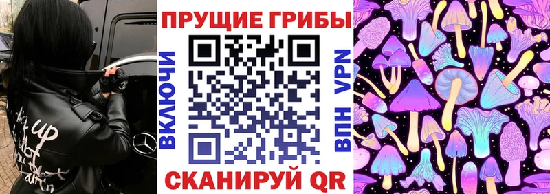 Галлюциногенные грибы Cubensis Невьянск