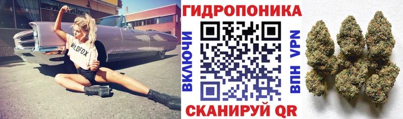 сколько стоит  Невьянск  Бошки марихуана VHQ 